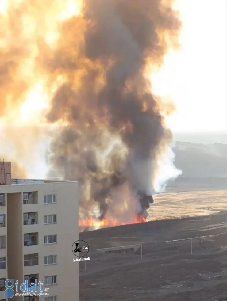 photo_2026-02-18_18-22-34 (2)